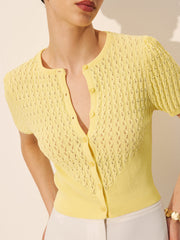 Hollow Knit Buttoned Top