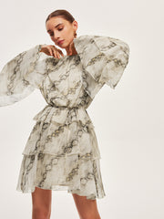 Sheer Print Ruffle Tie-Waist Dress