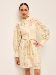 Semi-Sheer Lace Belted Dress