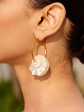 Shell Hoop Earrings