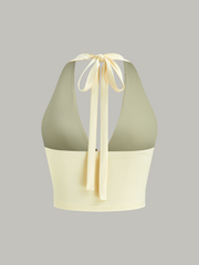 Halter Neck Crop Top and Mesh Paneled Skirt Set