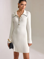 Contrast Trim Collar Long Sleeve Mini Dress
