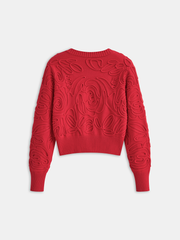 Embroidered Crew Neck Knit Top