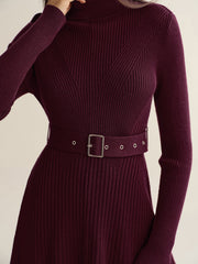 Belted Turtleneck Ribbed Knit Mini Dress
