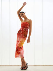 Semi-Sheer Mesh Midi Tube Dress