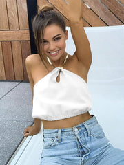 Semi-Sheer Halter Crop Sleeveless Top