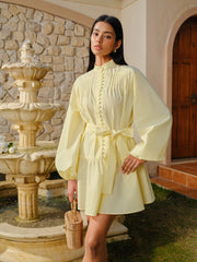 Buttoned Lantern Sleeve Belted Dress