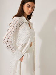 Semi-Sheer Cotton Hollow Panel Tie Back Lapel Dress