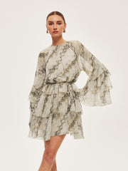 Sheer Print Ruffle Tie-Waist Dress