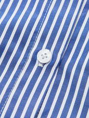 Striped Asymmetric Draped Blouse