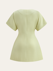 Short-Sleeved V-Neck Mini Dress