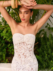 Sheer Jacquard Floral Lace Panel Strapless Dress