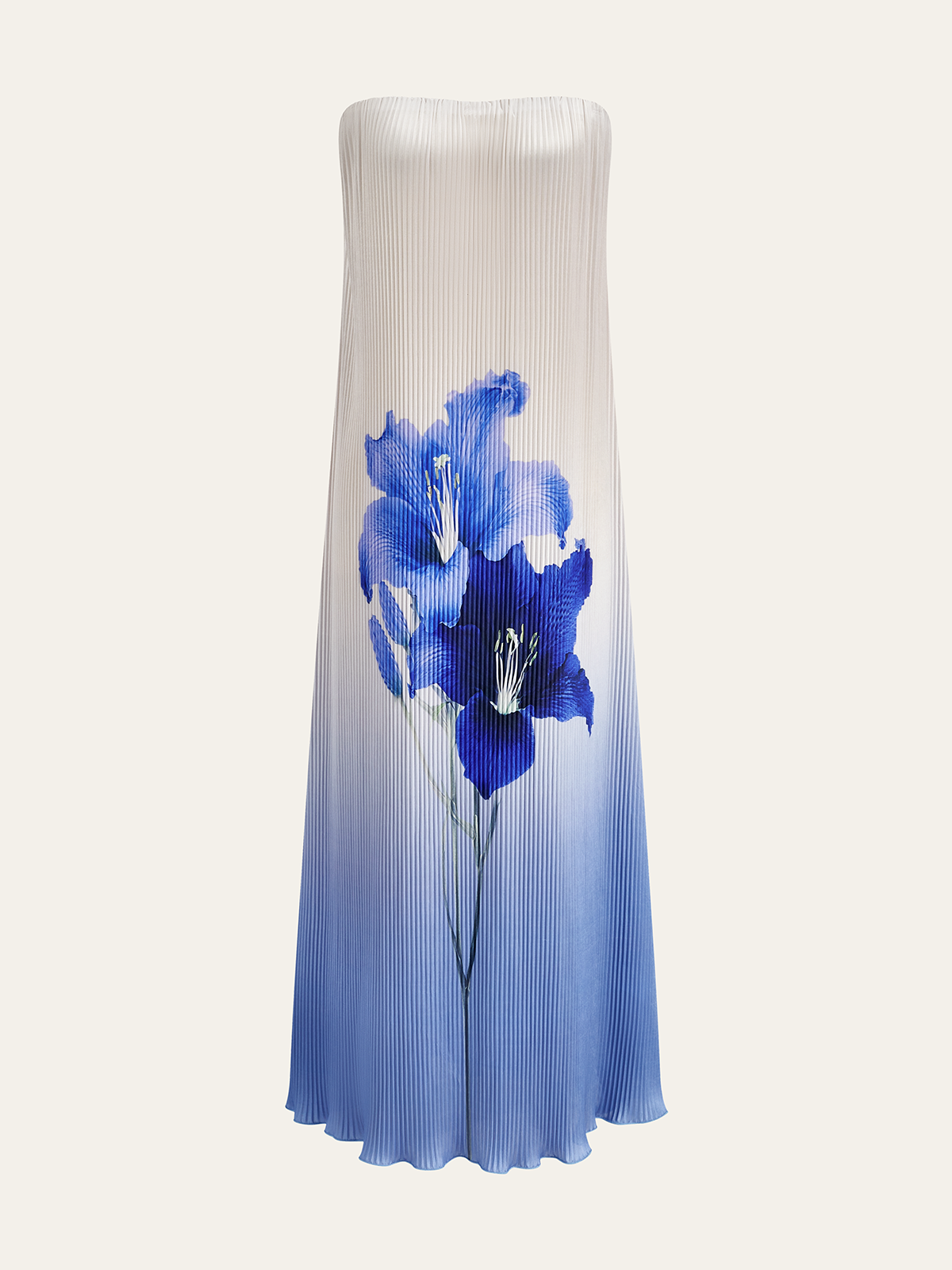 Floral Print Gradient Strapless Pleated Maxi Dress