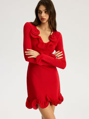 Ruffled Detail Long Sleeve Mini Dress