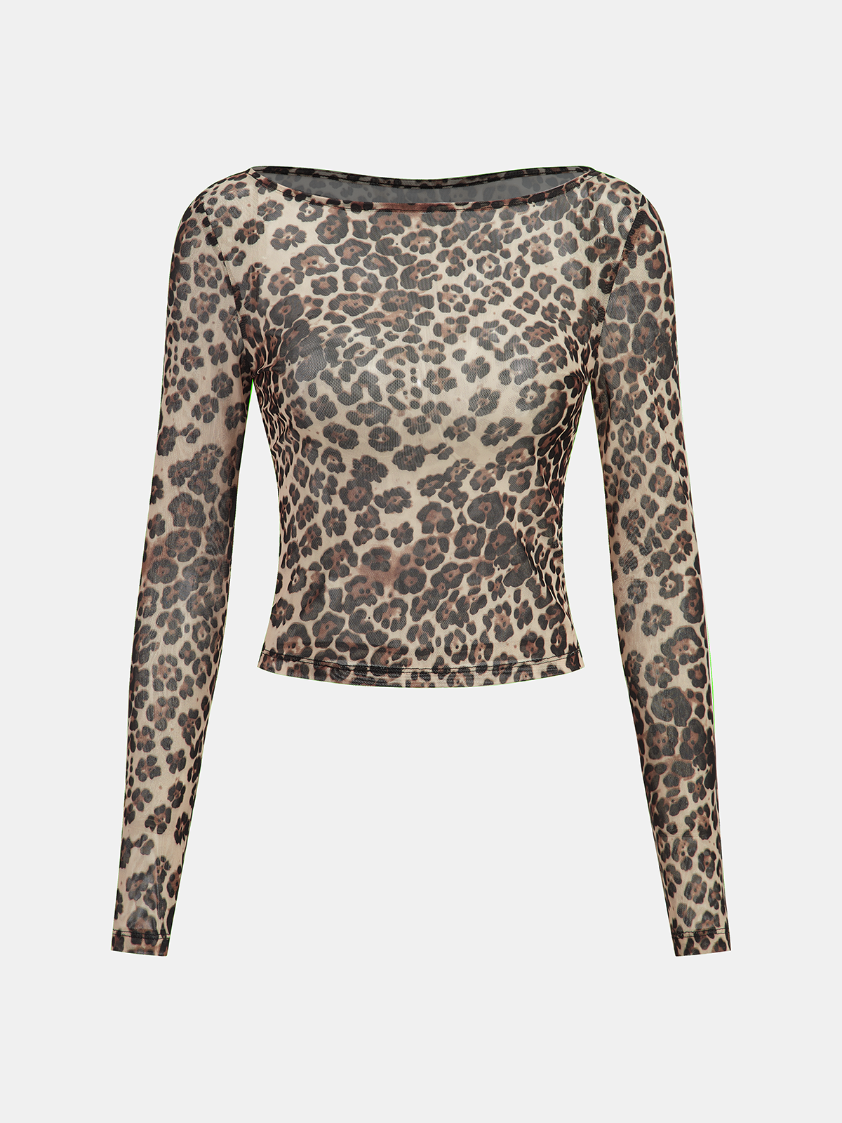 Sheer Mesh Leopard Print Long-Sleeve Top