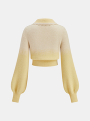 Ombre Knitted Top and Mini Skirt Set