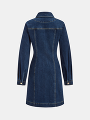 Metal Button-Front Denim Shirt Dress