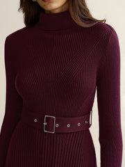 Belted Turtleneck Ribbed Knit Mini Dress